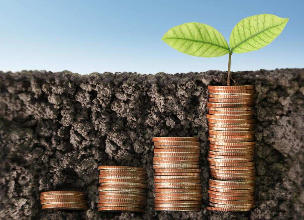 Investindo com Consciência Ambiental e Social: O Futuro dos Portfólios Sustentáveis